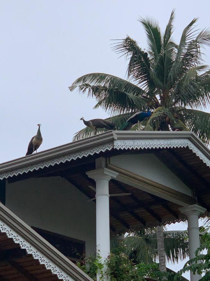 Neli Guests House Hotel อูนาวาตูนา ภายนอก รูปภาพ